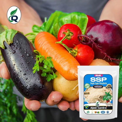 Single Super Phosphate, Essential Organic Fertilizer For Plant Growth (350 gm)